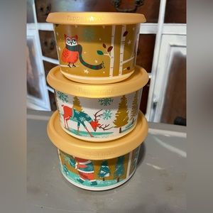 NEW never used tupperware winter one touch canister 3 piece set!!
